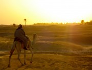 Sahara desert camel trek at sunset in Tunisia