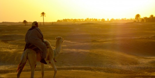 Sahara desert camel trek at sunset in Tunisia