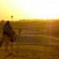 Sahara desert camel trek at sunset in Tunisia