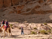 Exclusive camel trek to Petra, Jordan