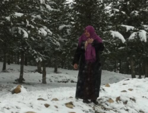 Snow in Tunisia; Blanket Distribution