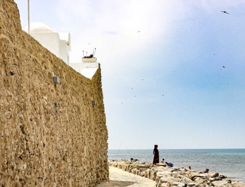 Slow Travel in Hammamet, Tunisia